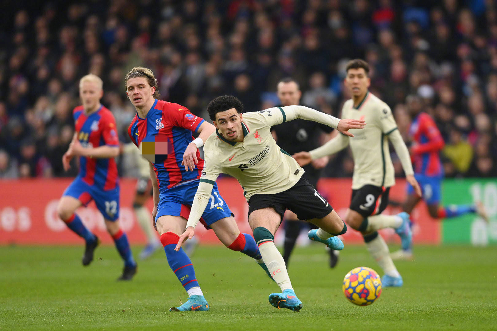 将对整个小 将对整个小